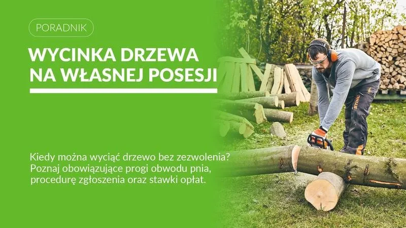 Ile kosztuje wycięcie drzewa na posesji? Sprawdź, co warto wiedzieć przed usunięciem!