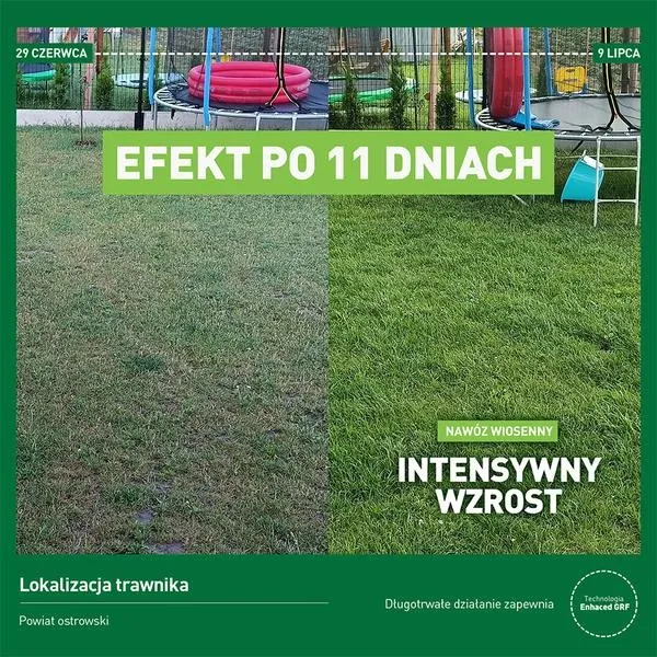 Jak efektywnie nawozić trawnik? Dyskusja na forum dla ogrodników