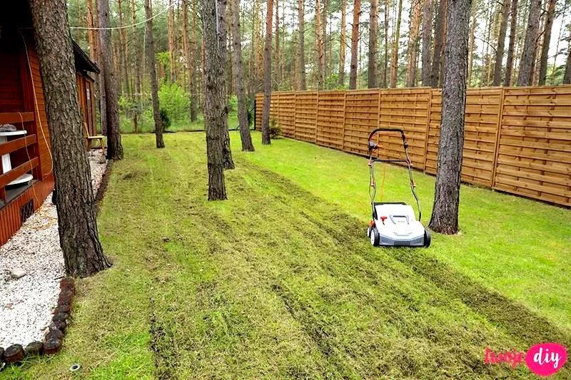 Jak skutecznie przygotować trawnik do wertykulacji krok po kroku