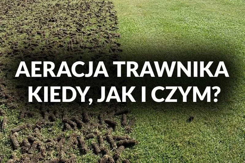 Kiedy przeprowadzić aerację trawnika jesienią, aby cieszyć się pięknym ogrodem?