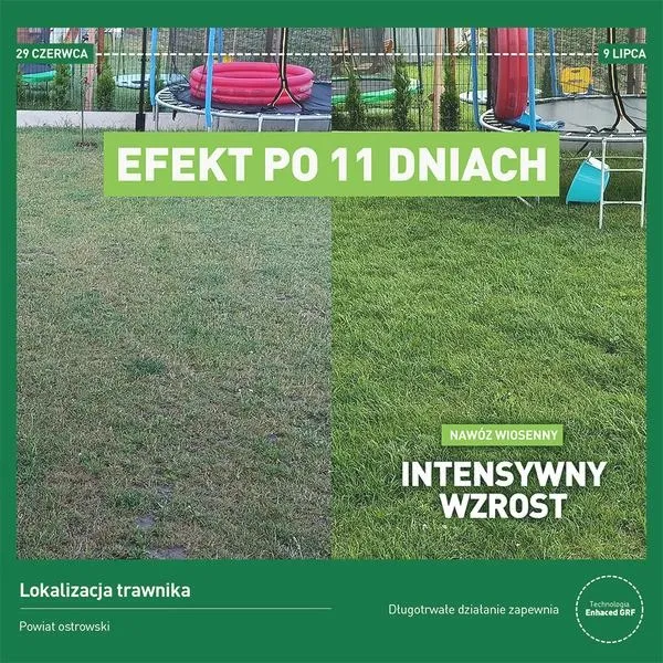 Kiedy wykonać pierwsze nawożenie trawnika po zimie, aby cieszyć się jego zdrowiem?