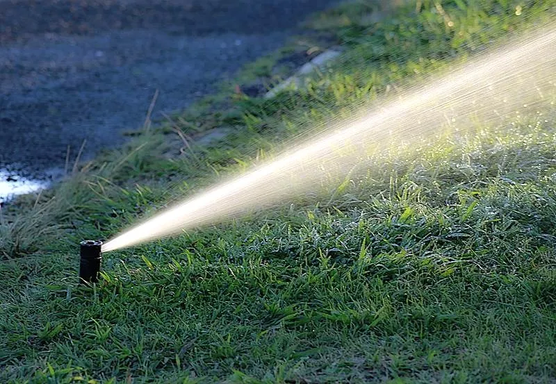 Kiedy zacząć podlewać trawnik, aby cieszyć się zielonym ogrodem?