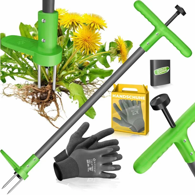 Skuteczne sposoby na usuwanie chwastów z kostki brukowej