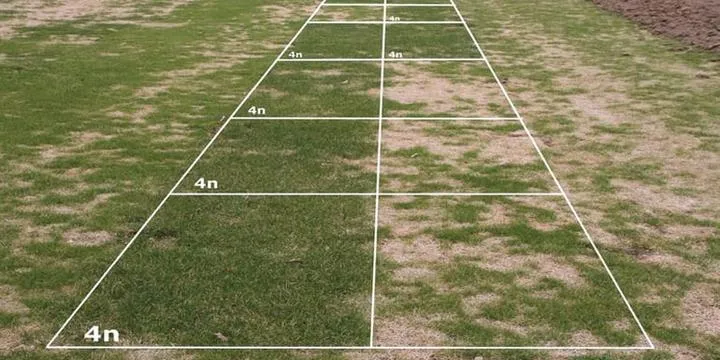 Dosiewka trawnika poradnik