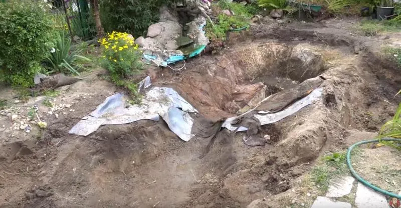Koszt budowy oczka wodnego