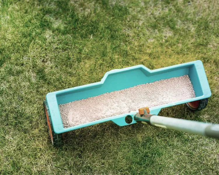 Najczęstsze błędy nawożenia