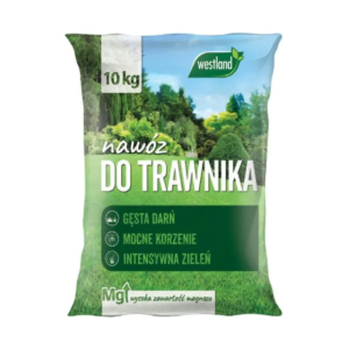 Nawozy na trawnik z mchem