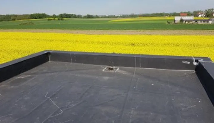 Odprowadzanie deszczówki