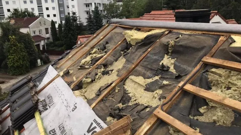 Odstraszanie kuny na poddaszu