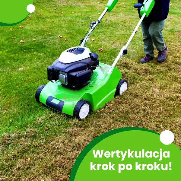 Pielęgnacja trawnika przed zimą