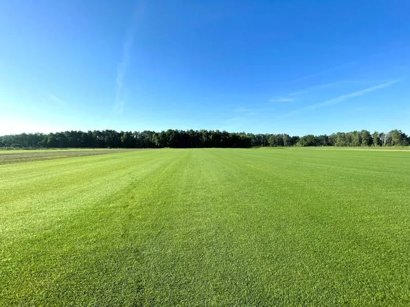 Przyczyny nierówności trawnika