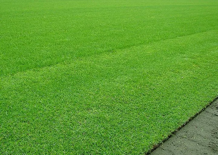 Przygotowanie terenu pod trawnik z rolki