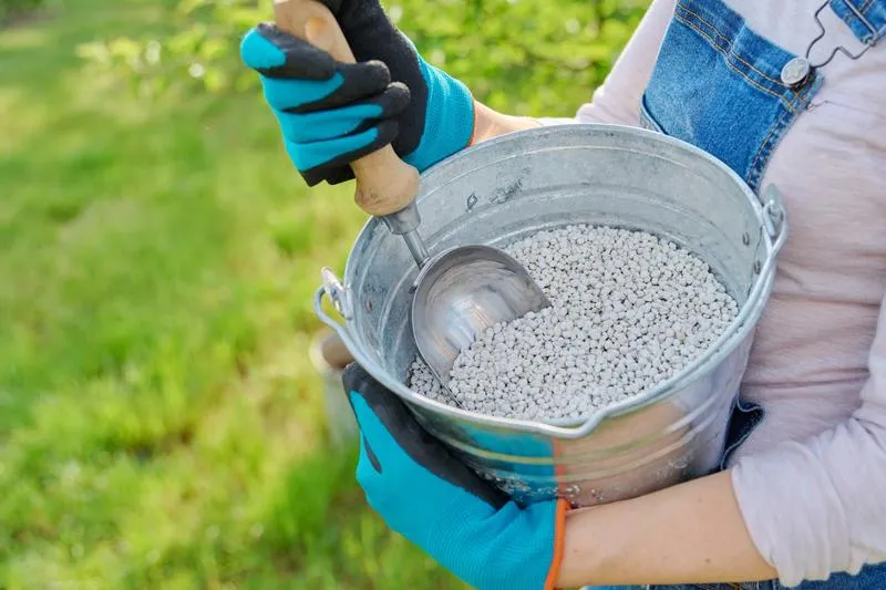 Rodzaje wapna do trawnika