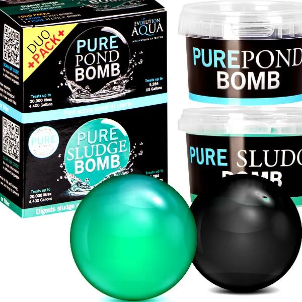 Skuteczne sposoby na czystość