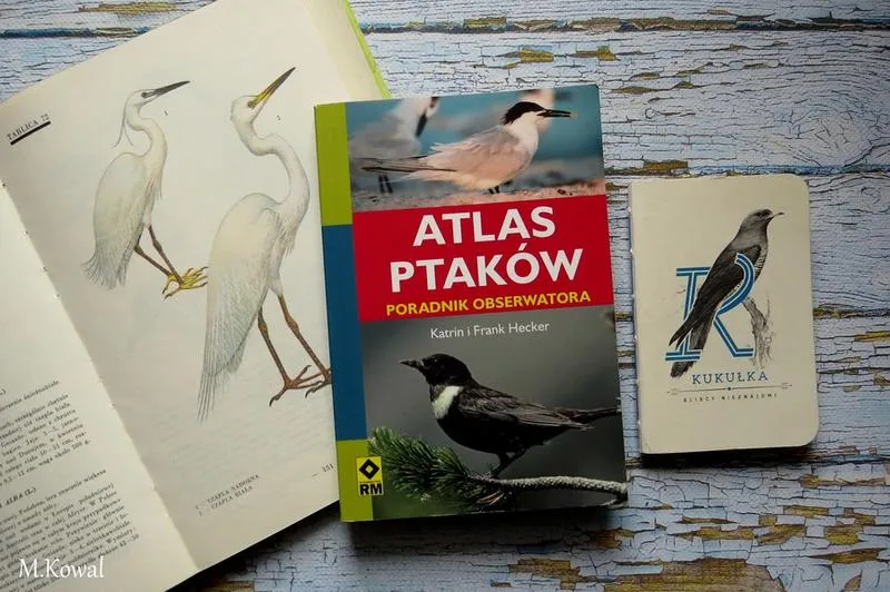 Skuteczne sposoby na ptaki