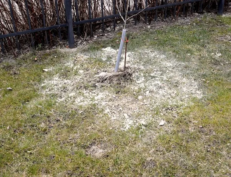 Skuteczne wapnowanie
