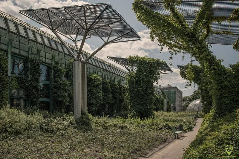 Tarasy widokowe Warszawa