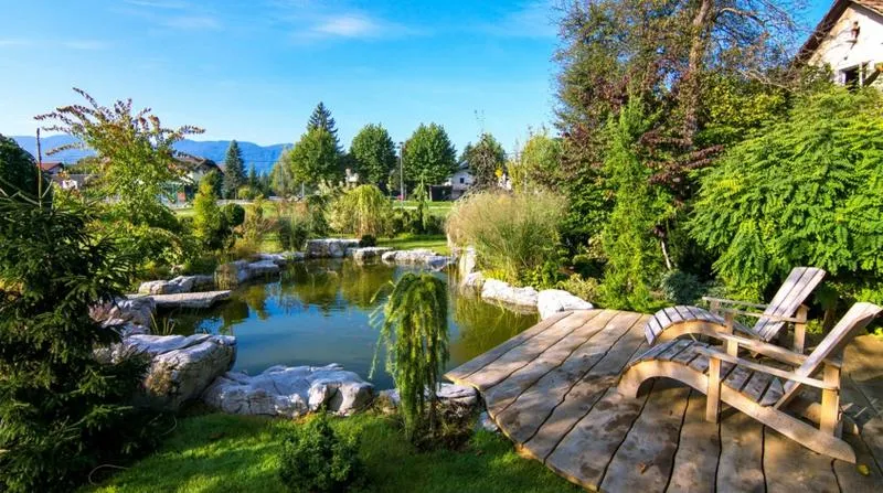 Wiosenne czyszczenie oczka wodnego