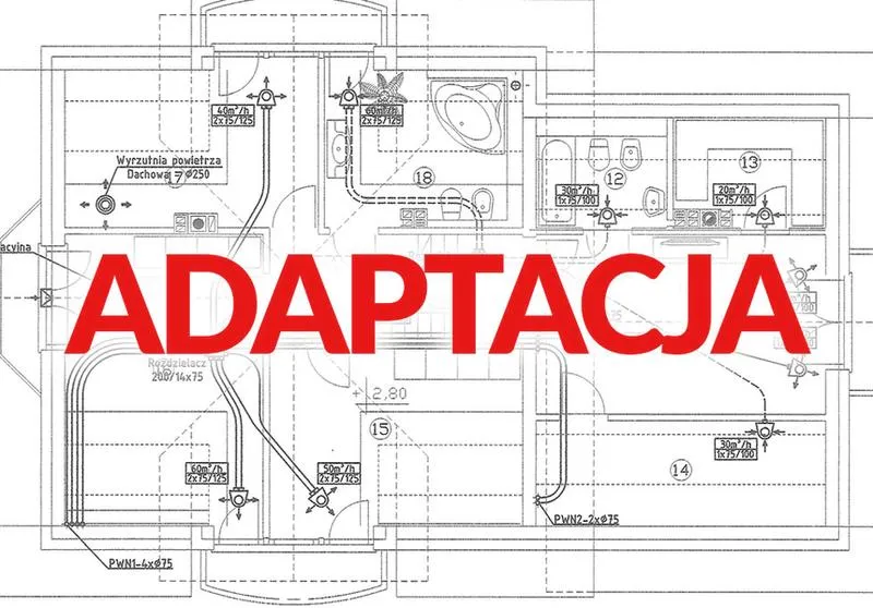 Wybór fachowca do adaptacji