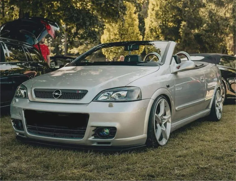 Zamienniki olejów cabrio