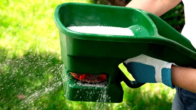 Zdrowy wzrost trawnika